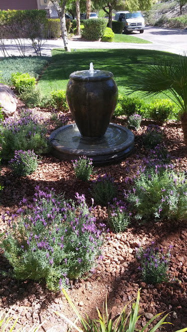 Gallery image 13 — insured landscaping services near me