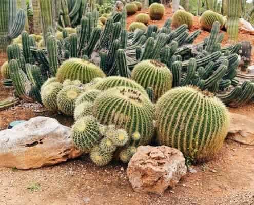 Gallery image 10 — insured landscaping services near me