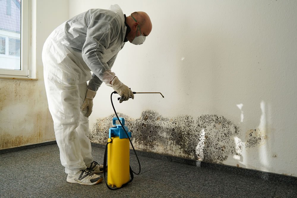 Gallery image 1 — healthcare facility cleaning Brooklyn