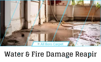 Gallery image 3 — allergy control cleaning New York