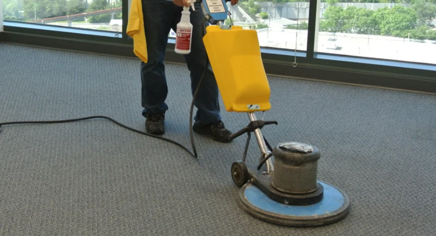 allergy control cleaning New York
