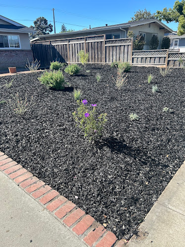 xeriscaping services Portola Valley