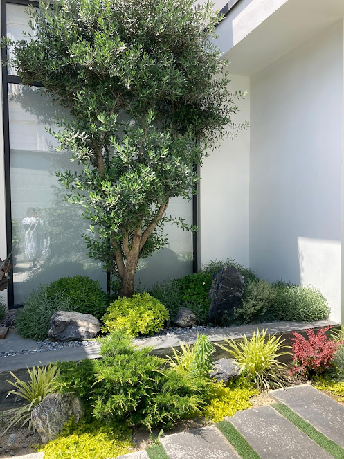 Gallery image 12 — custom landscape design Burbank