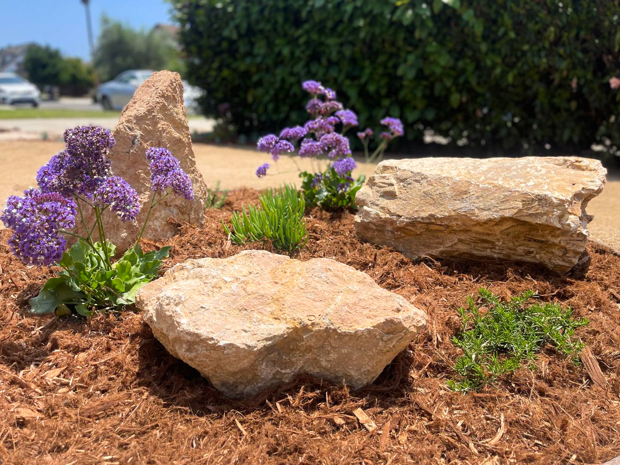 custom landscape design Burbank