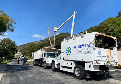 Gallery image 14 — hedge pruning near me