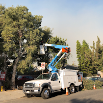 Gallery image 2 — hedge pruning near me