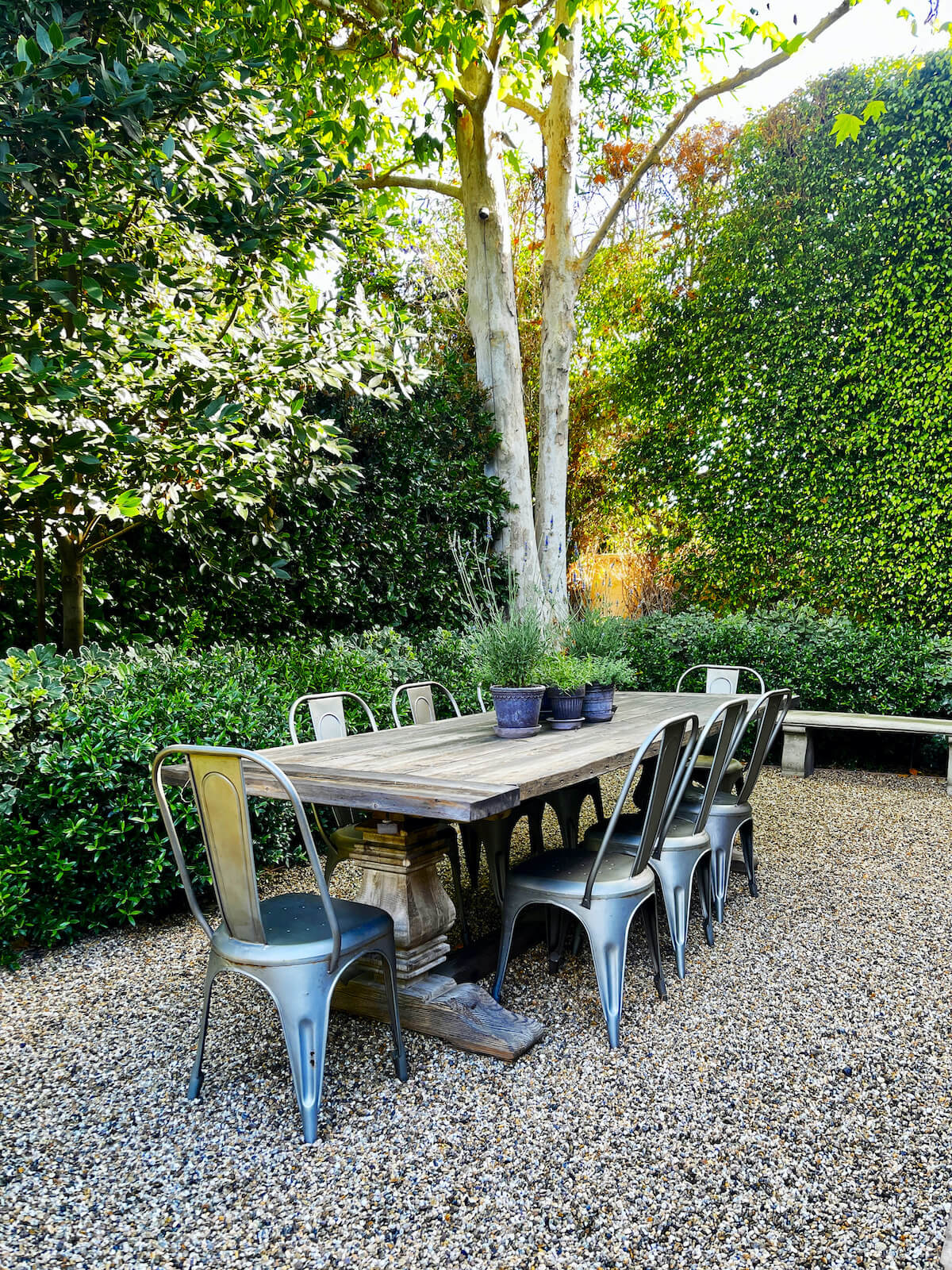 hedge pruning near me