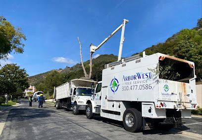 Gallery image 11 — hedge pruning near me
