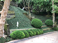 Gallery image 1 — hedge pruning near me