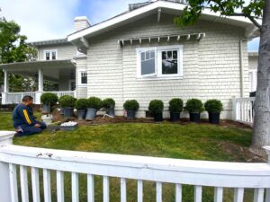 Gallery image 5 — hedge pruning near me