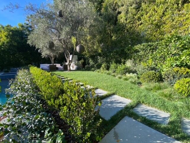 Gallery image 7 — hedge pruning near me