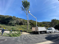 About hedge pruning near me