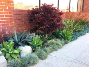 Gallery image 13 — hedge pruning near me