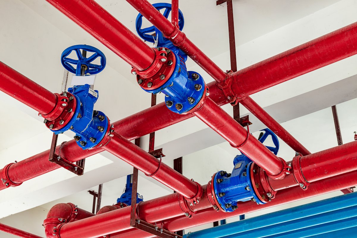 same day plumbing service Paradise