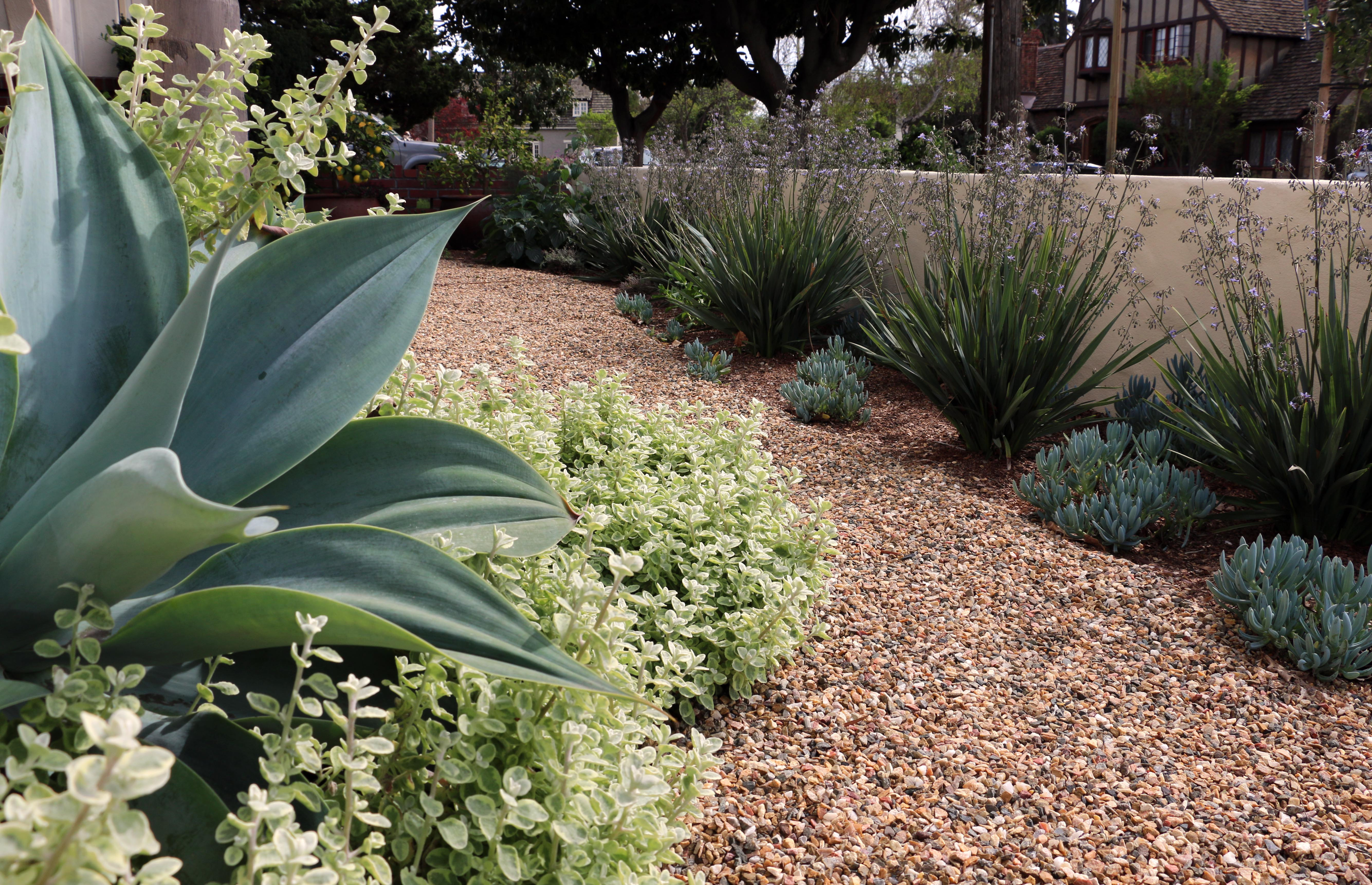 landscape architect near me