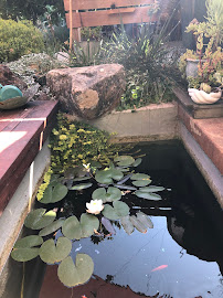 Gallery image 6 — landscape architect near me