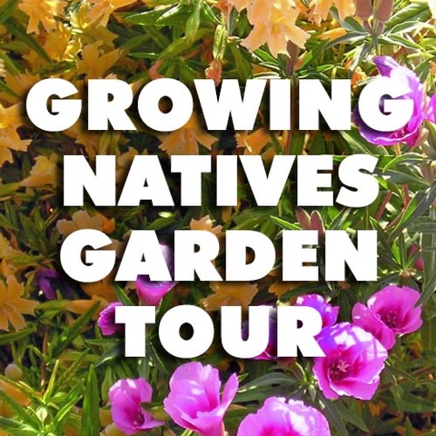 Gallery image 3 — organic landscaping Santa Clara County