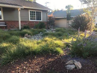 Gallery image 7 — organic landscaping Santa Clara County