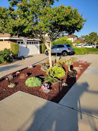 Gallery image 2 — seasonal clean up 91803