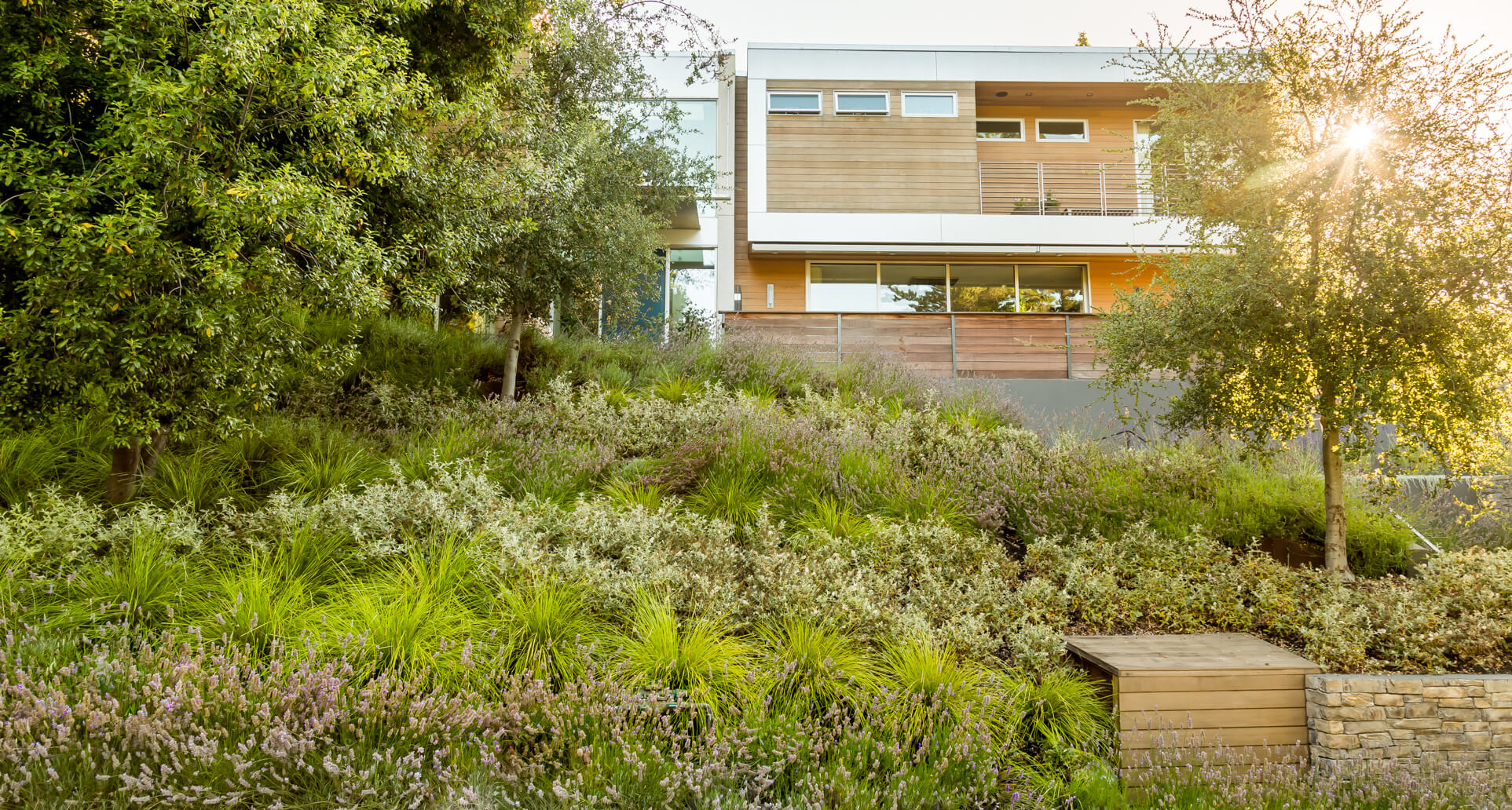 Gallery image 2 — commercial landscape maintenance Brentwood