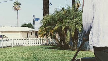 emergency lawn service near me