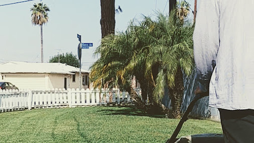 About emergency lawn service near me