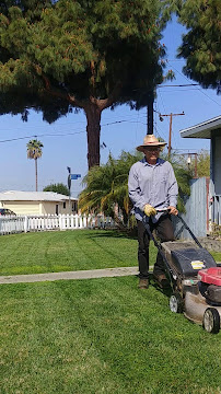 Gallery image 1 — emergency lawn service near me