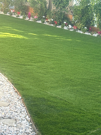 Gallery image 3 — yard cleaning service Los Angeles