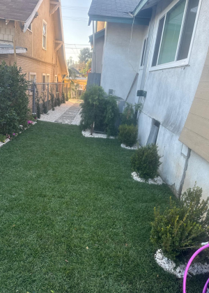 Gallery image 7 — yard cleaning service Los Angeles