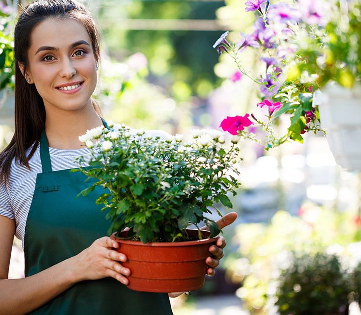 Gallery image 5 — yard cleaning service Los Angeles