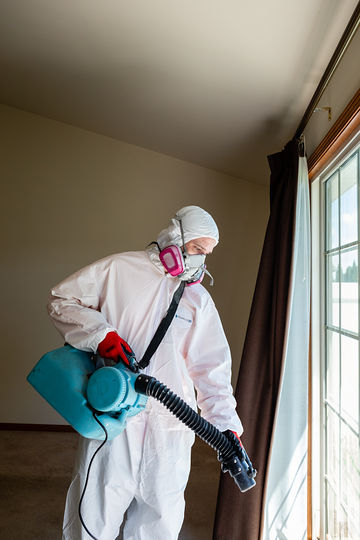 Gallery image 4 — mold remediation company Chicago