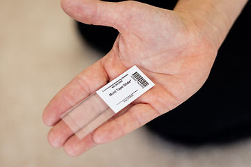 mold remediation company Chicago