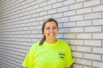 mold removal Chicago