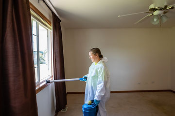 Gallery image 5 — mold remediation company Chicago