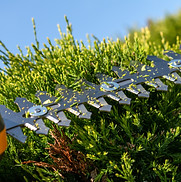 Gallery image 8 — HOA landscaping Kensington