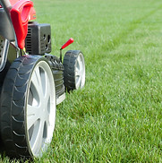 Gallery image 3 — HOA landscaping Kensington