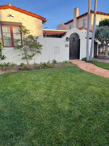 Gallery image 4 — HOA landscaping Kensington