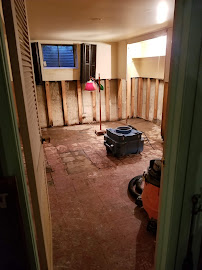 Gallery image 5 — commercial mold removal near me