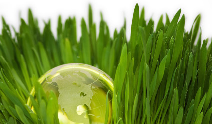 Gallery image 13 — lawn care near me