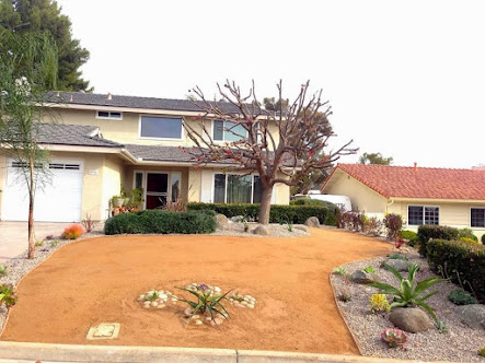 Gallery image 7 — lawn care near me
