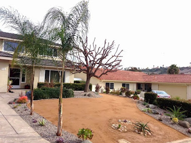 Gallery image 2 — lawn care near me