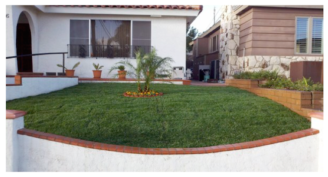 About lawn care near me