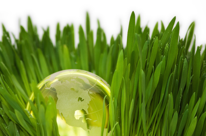 Gallery image 6 — lawn care near me
