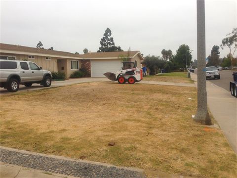 Gallery image 4 — lawn care near me