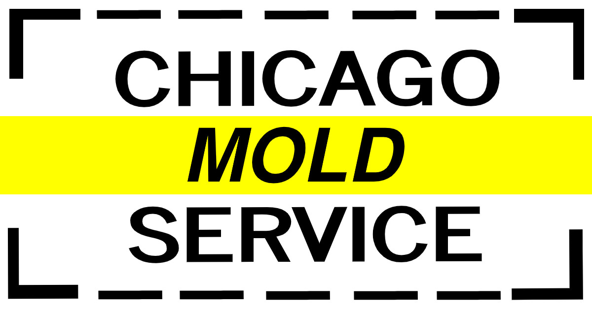 best mold inspection in Chicago