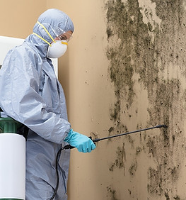 About best mold inspection in Chicago