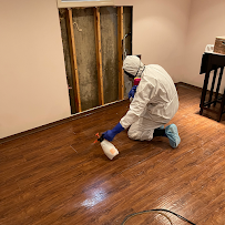 Gallery image 2 — best mold inspection in Chicago