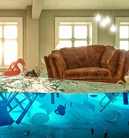 Gallery image 7 — best mold inspection in Chicago