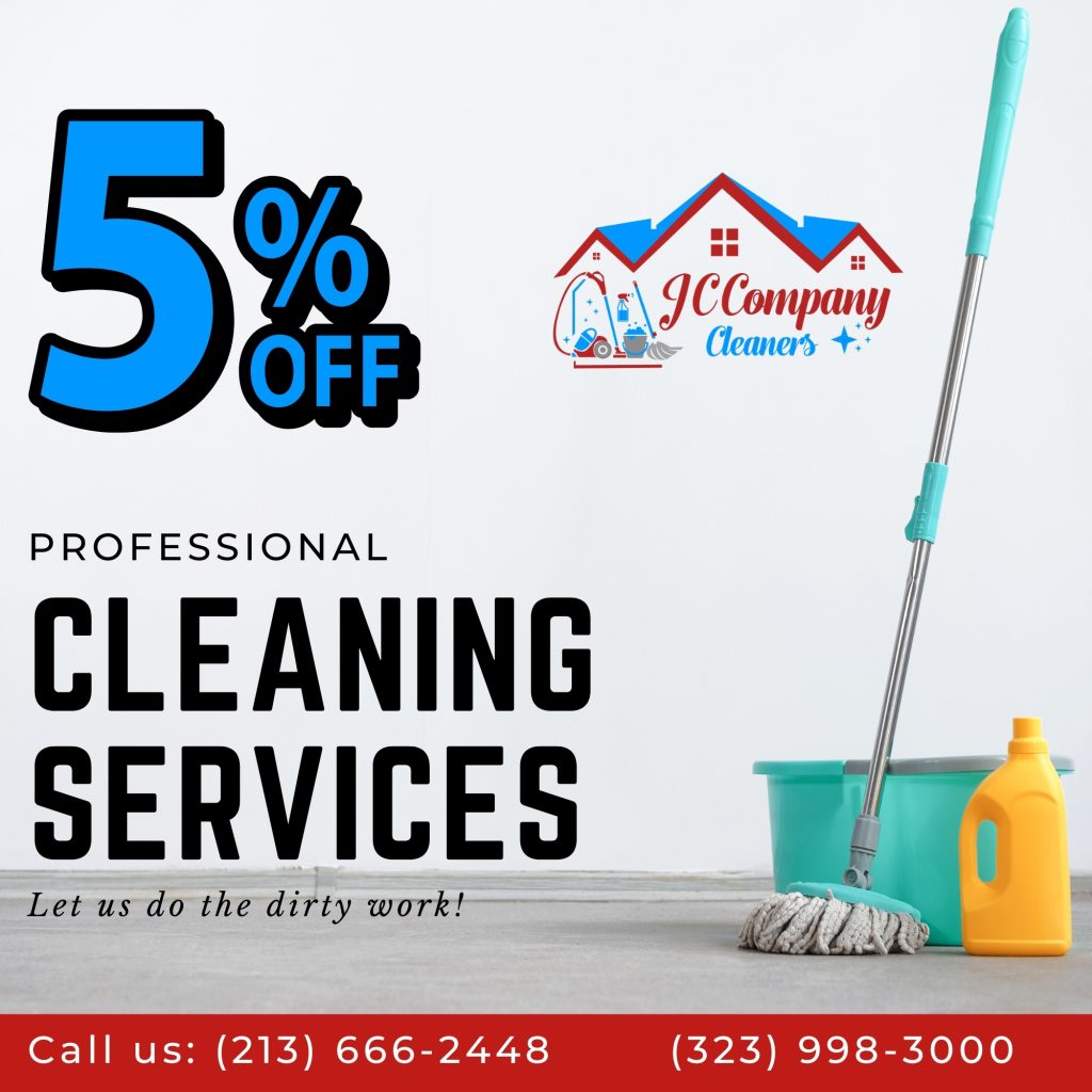 professional cleaners near me