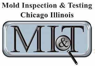 professional mold inspection Chicago